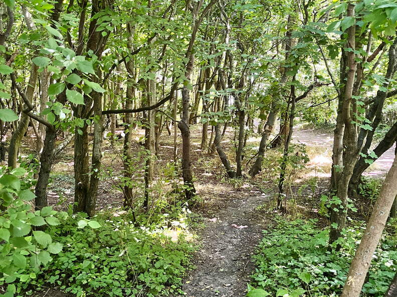 24-06-29 13-19-41 0014